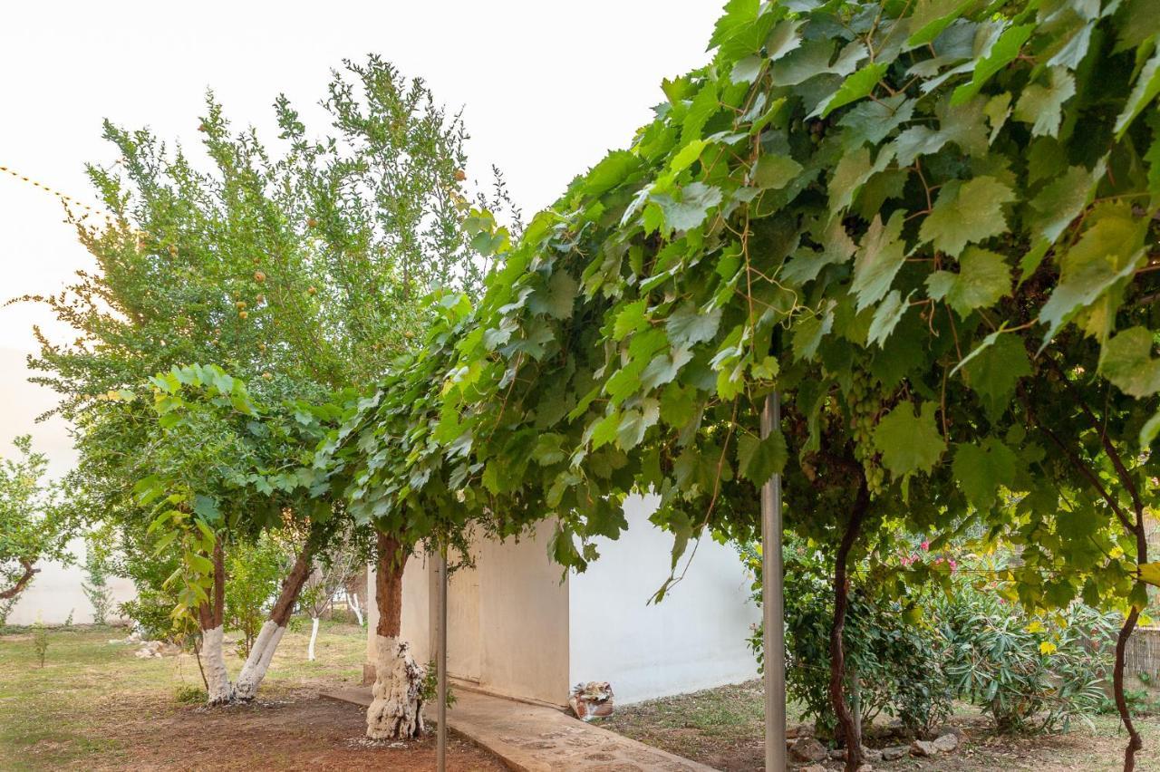 Néa Fókaia Stavros Summer Houseヴィラ エクステリア 写真