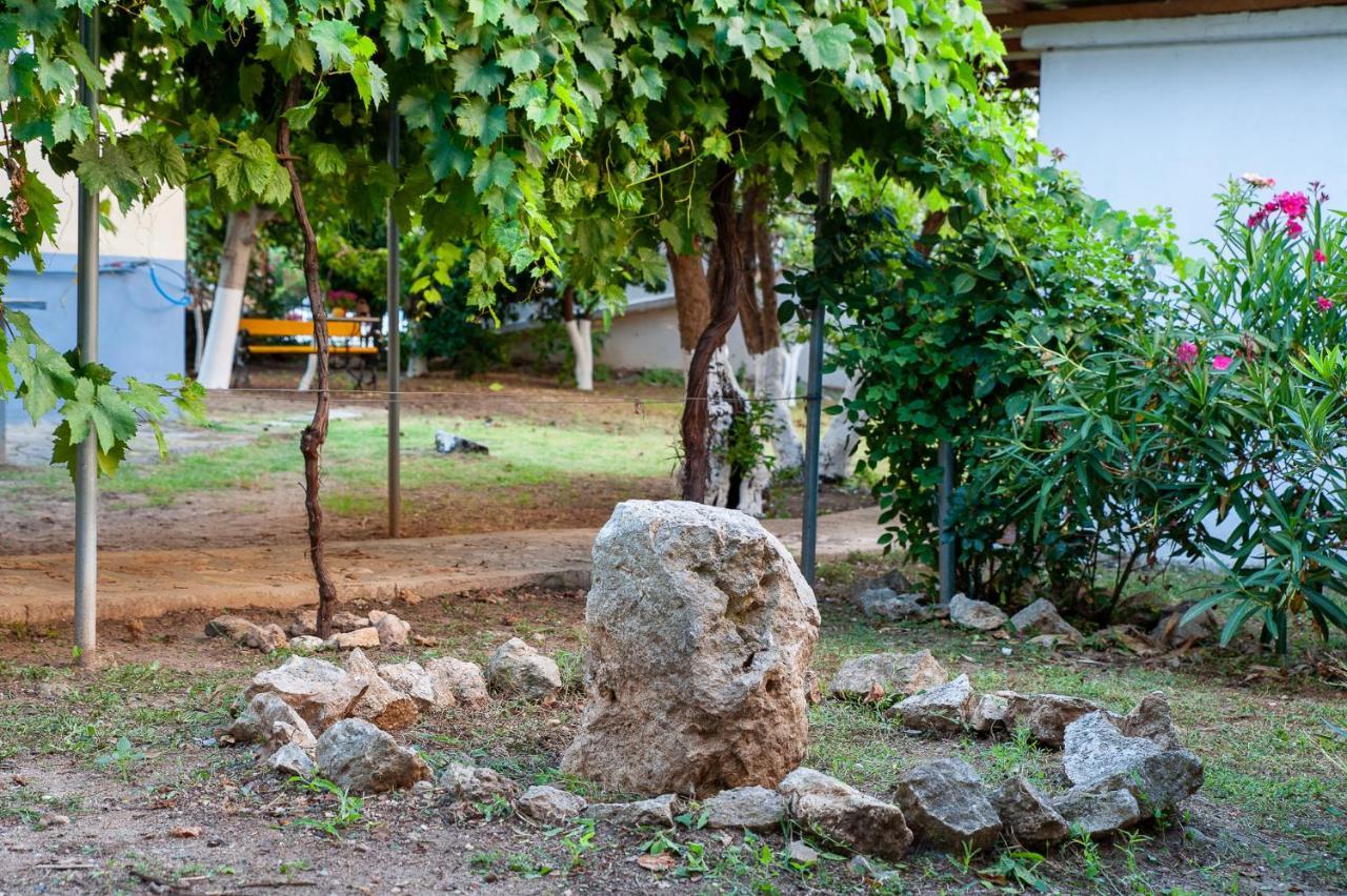 Néa Fókaia Stavros Summer Houseヴィラ エクステリア 写真